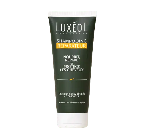 carousel 1 removebg preview 2